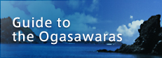 Guide to the Ogasawaras