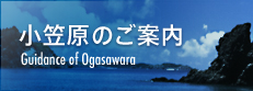 小笠原のご案内