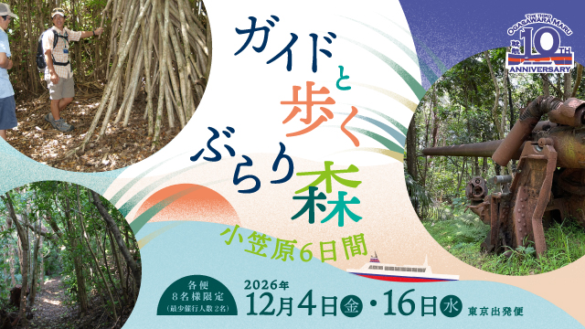 ガイドと歩くぶらり森 小笠原6日間