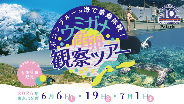ボニンブルーの海で感動体験！ウミガメ産卵観察ツアー